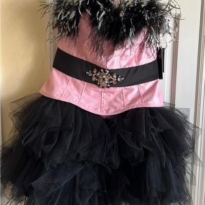 Black Grey Feather Satin-pink short Beaded Tulle prom Dress by Terani Couture